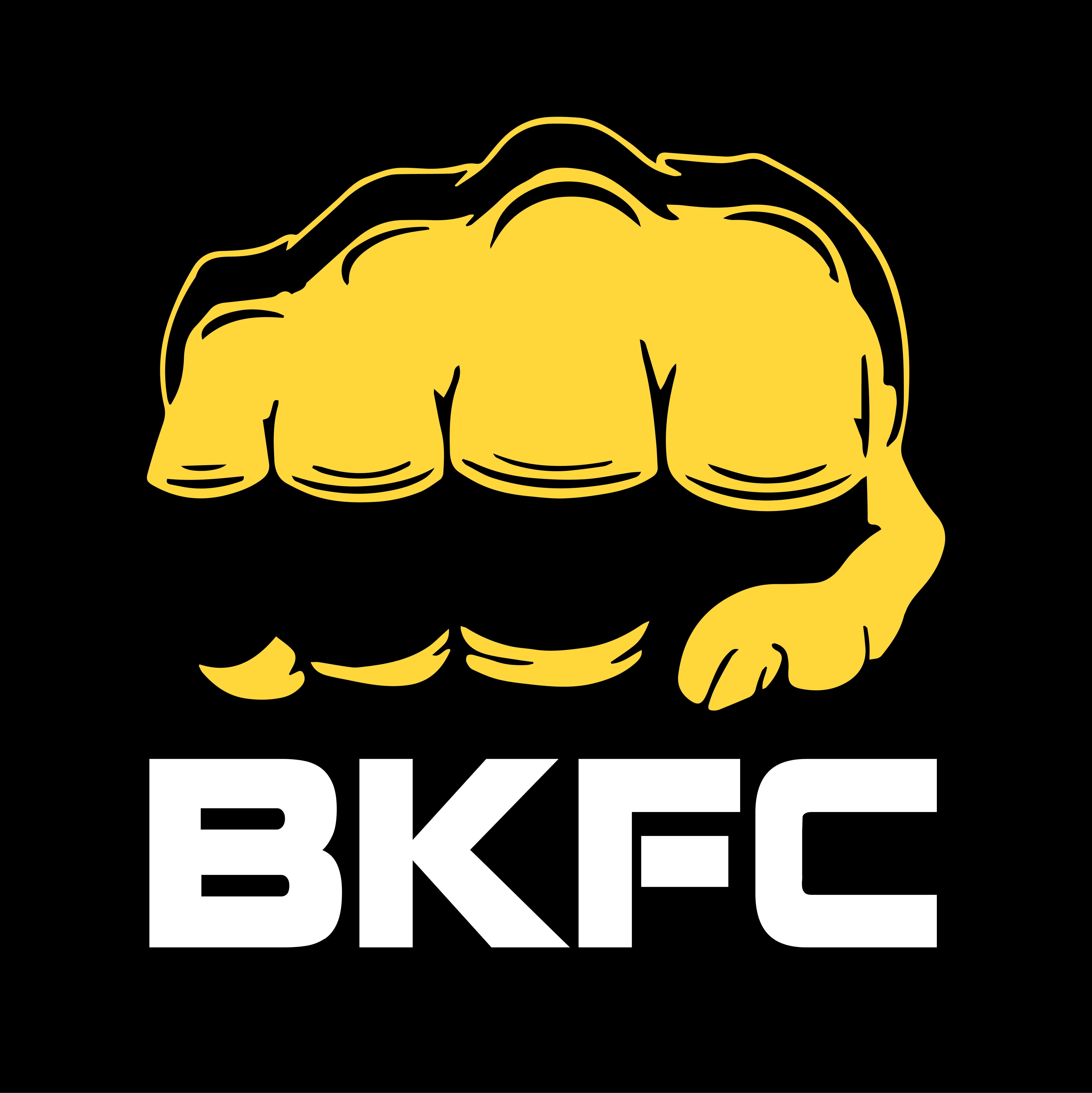 BKFC